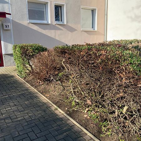 Mycha Ferienwohnung Goslar Dış mekan fotoğraf
