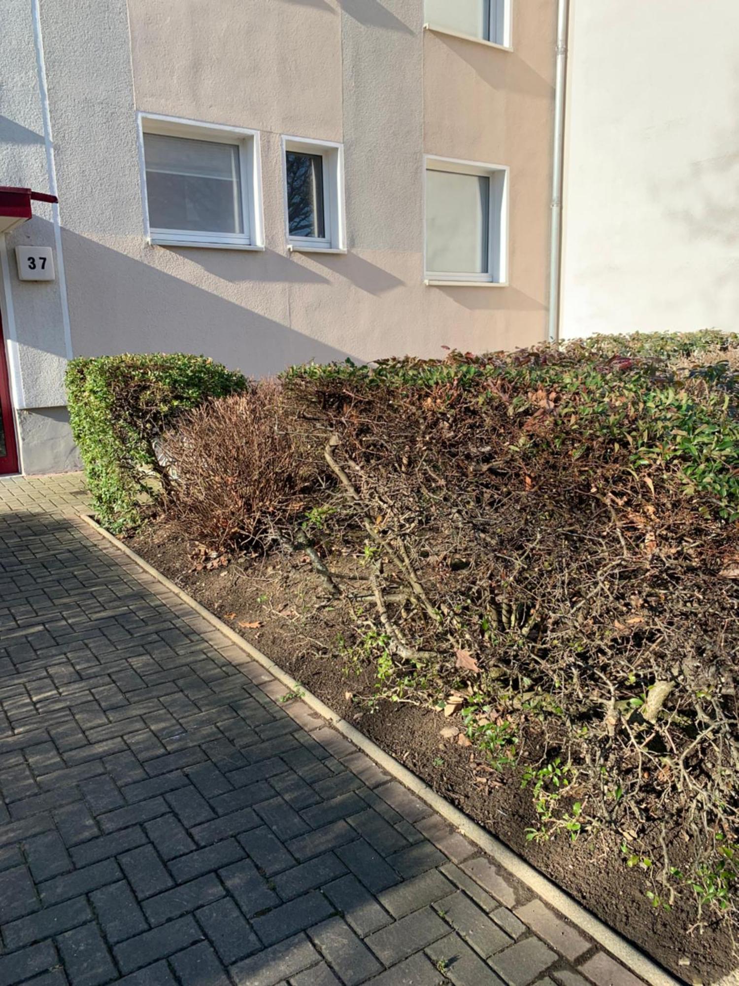 Mycha Ferienwohnung Goslar Dış mekan fotoğraf